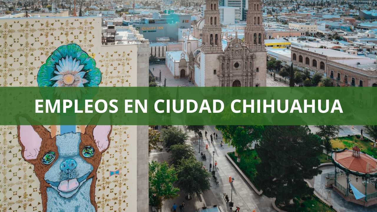 Empleos en ciudad Chihuahua